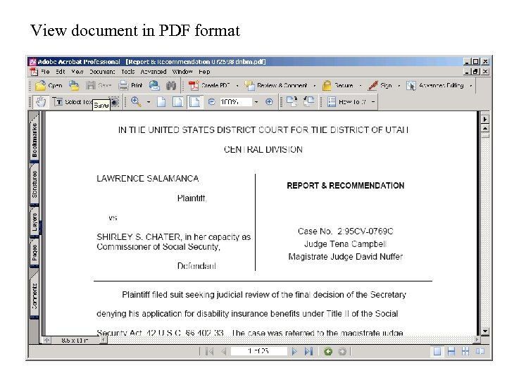 View document in PDF format 