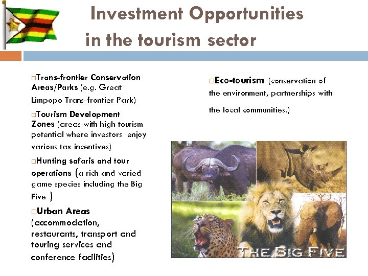 Investment Opportunities in the tourism sector Trans-frontier Conservation Areas/Parks (e. g. Great Limpopo Trans-frontier