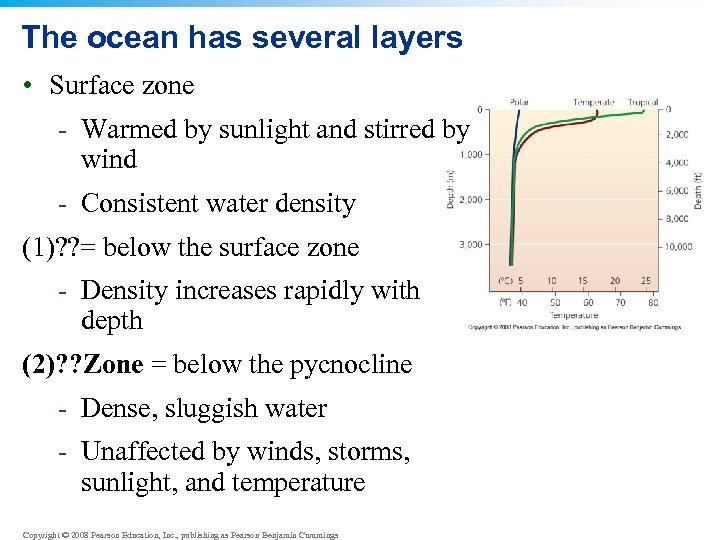 The ocean has several layers • Surface zone - Warmed by sunlight and stirred