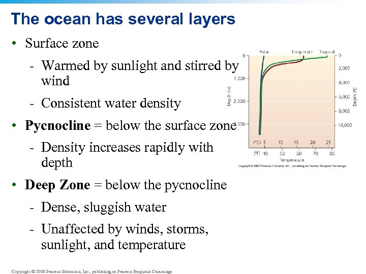 The ocean has several layers • Surface zone - Warmed by sunlight and stirred