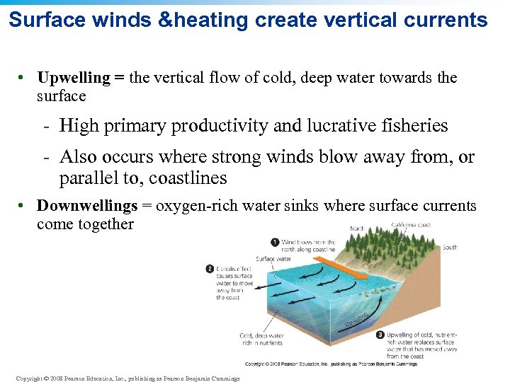 Surface winds &heating create vertical currents • Upwelling = the vertical flow of cold,