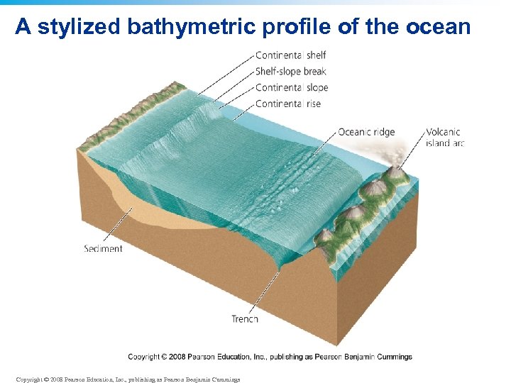 A stylized bathymetric profile of the ocean Copyright © 2008 Pearson Education, Inc. ,