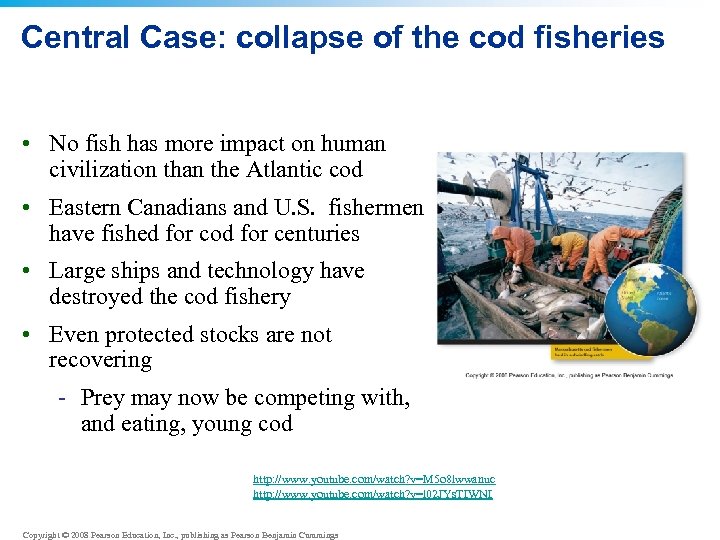 Central Case: collapse of the cod fisheries • No fish has more impact on