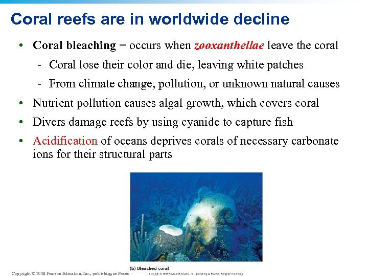 Coral reefs are in worldwide decline • Coral bleaching = occurs when zooxanthellae leave
