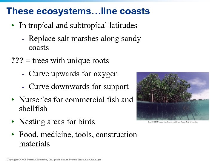 These ecosystems…line coasts • In tropical and subtropical latitudes - Replace salt marshes along