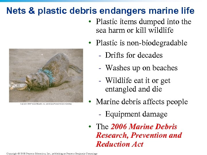 Nets & plastic debris endangers marine life • Plastic items dumped into the sea