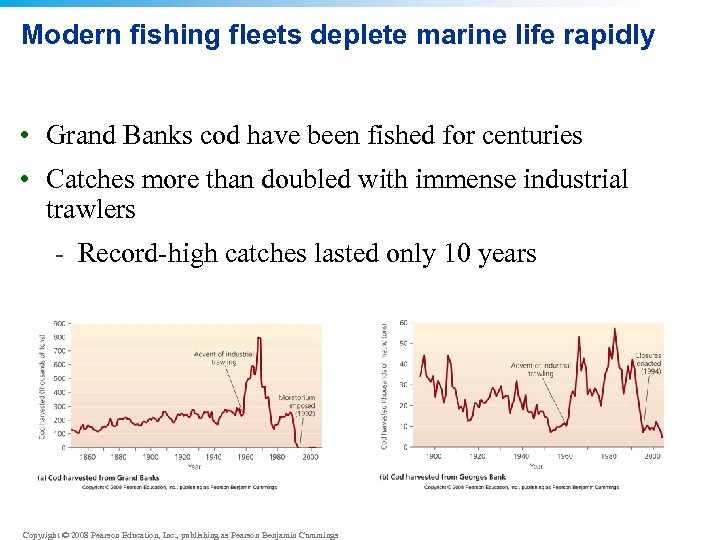 Modern fishing fleets deplete marine life rapidly • Grand Banks cod have been fished