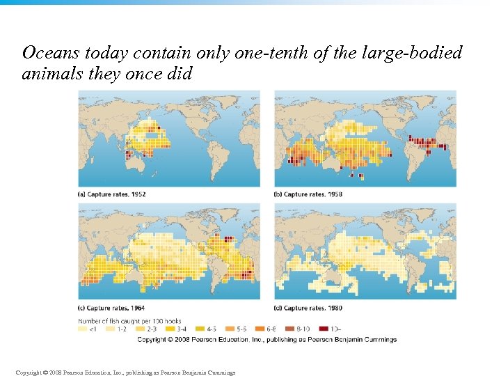 Oceans today contain only one-tenth of the large-bodied animals they once did Copyright ©