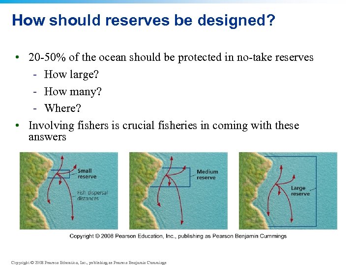 How should reserves be designed? • 20 -50% of the ocean should be protected