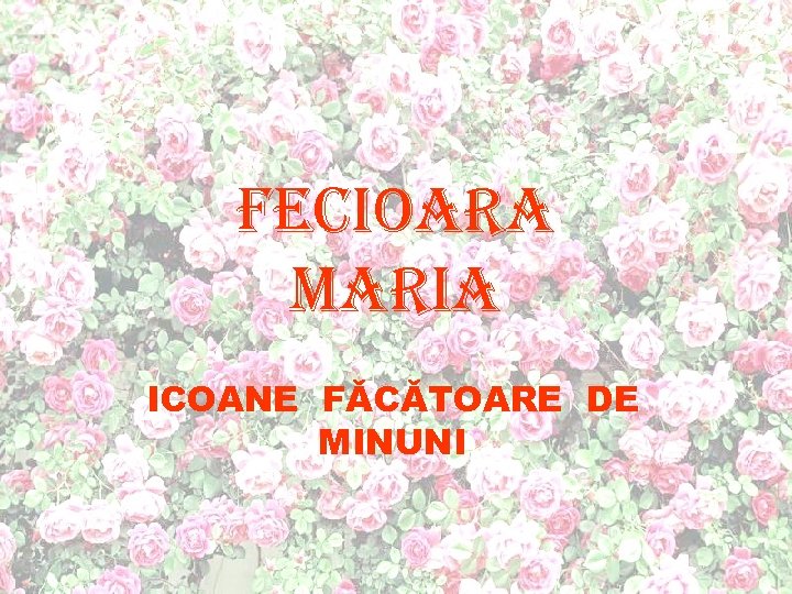 Fecioara Maria ICOANE FĂCĂTOARE DE MINUNI 