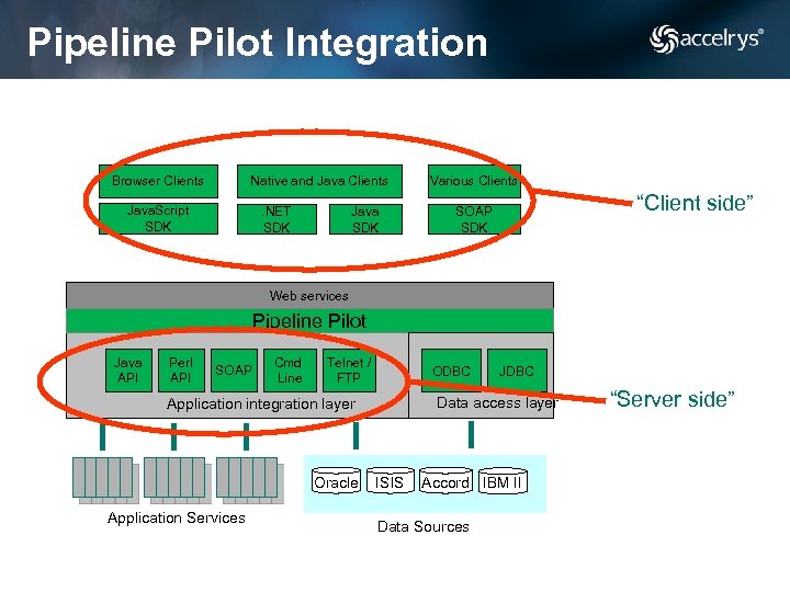 Pipeline Pilot Integration Browser Clients Native and Java Clients Java. Script SDK . NET