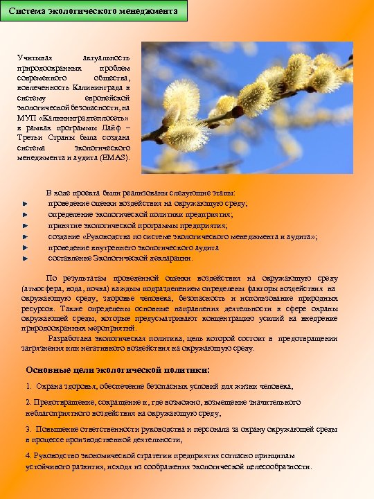 Система экологического менеджмента Учитывая актуальность природоохранных проблем современного общества, вовлеченность Калининграда в систему европейской