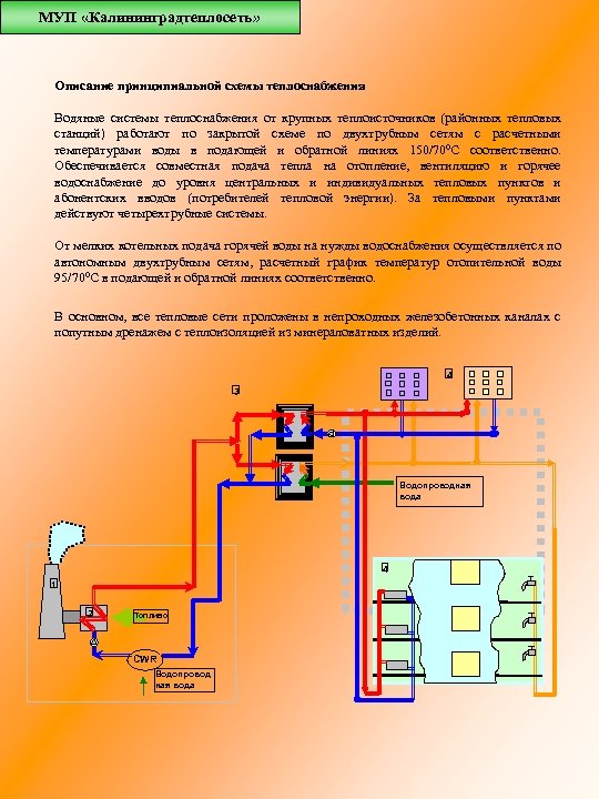 МУП «Калининградтеплосеть» Описание принципиальной схемы теплоснабжения Водяные системы теплоснабжения от крупных теплоисточников (районных тепловых