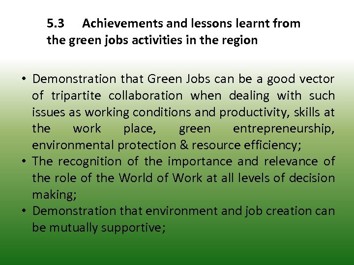 5. 3 Achievements and lessons learnt from the green jobs activities in the region