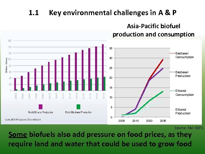1. 1 Key environmental challenges in A & P Asia-Pacific biofuel production and consumption