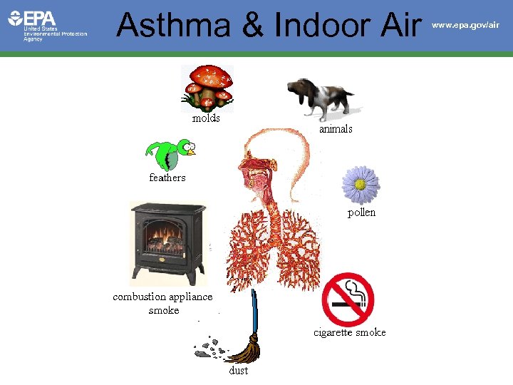 Asthma & Indoor Air combustion appliance smoke www. epa. gov/air 