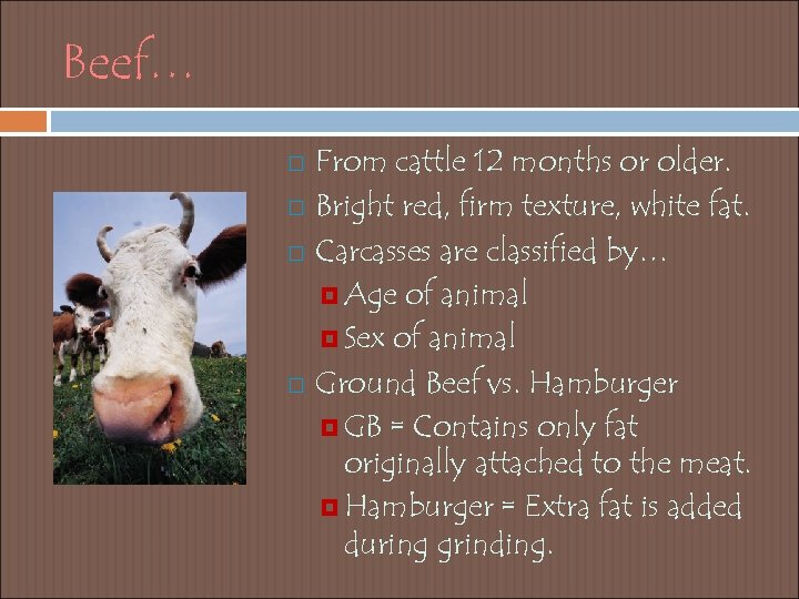 Beef… From cattle 12 months or older. Bright red, firm texture, white fat. Carcasses