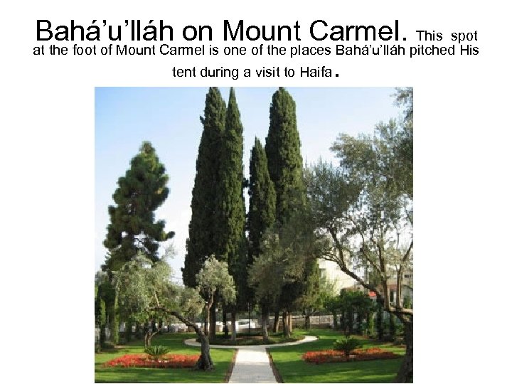 Bahá’u’lláh onis Mount Carmel. pitchedspot This at the foot of Mount Carmel one of