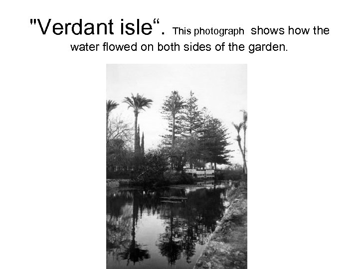 "Verdant isle“. This photograph shows how the water flowed on both sides of the