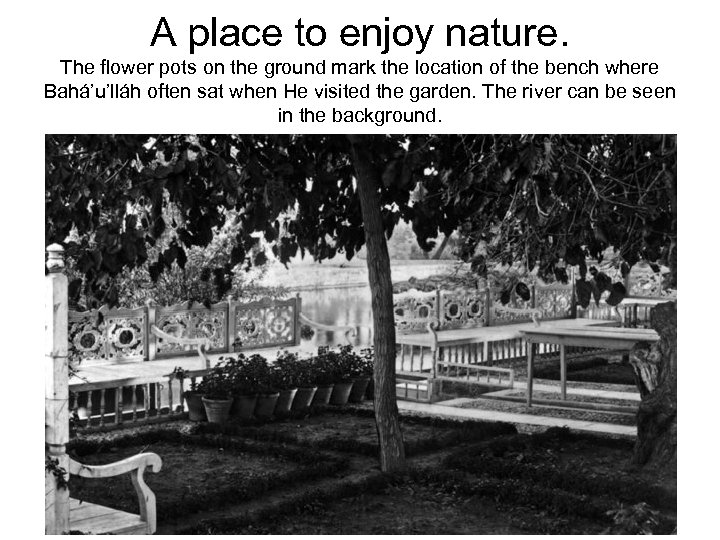 A place to enjoy nature. The flower pots on the ground mark the location