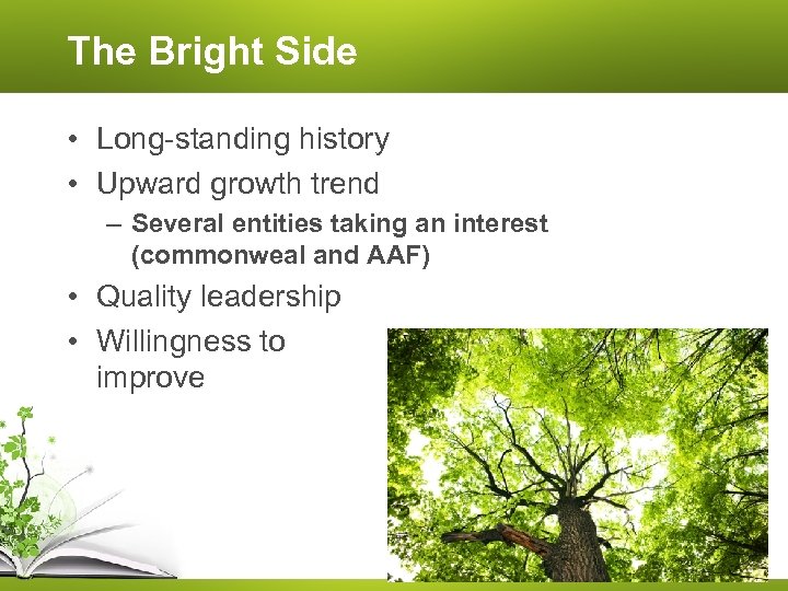 The Bright Side • Long-standing history • Upward growth trend – Several entities taking