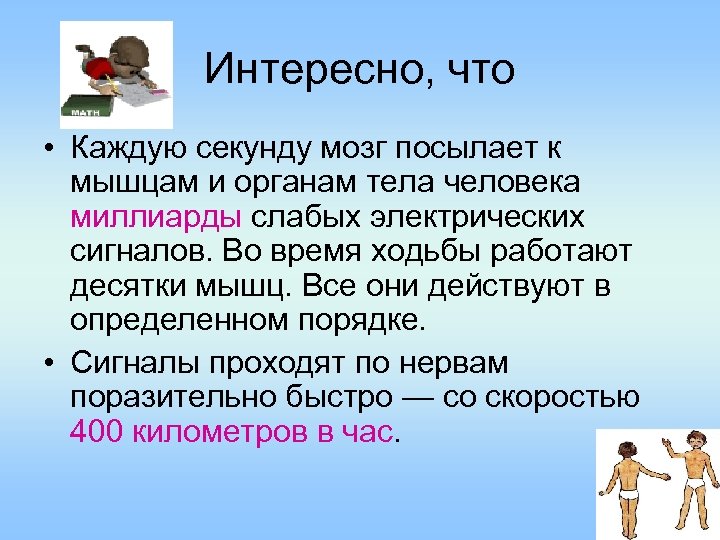 Интересно, что • Каждую секунду мозг посылает к мышцам и органам тела человека миллиарды
