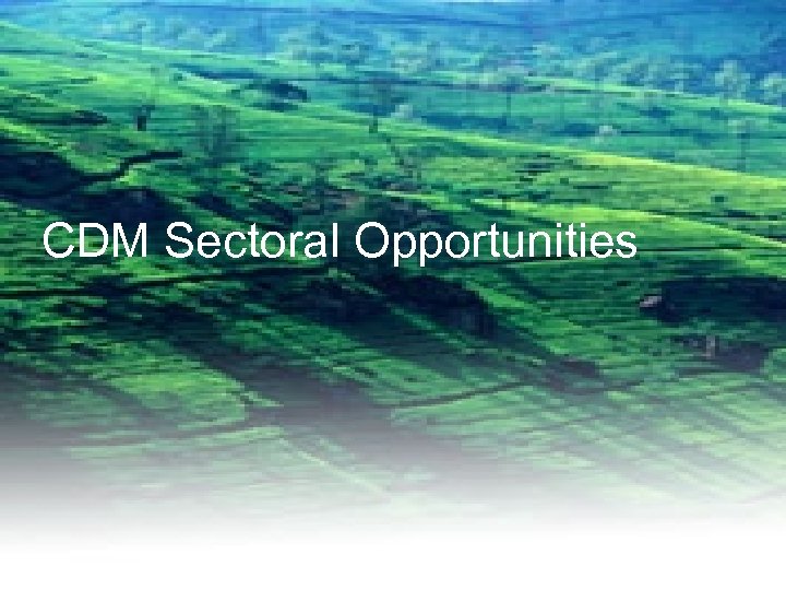 CDM Sectoral Opportunities 