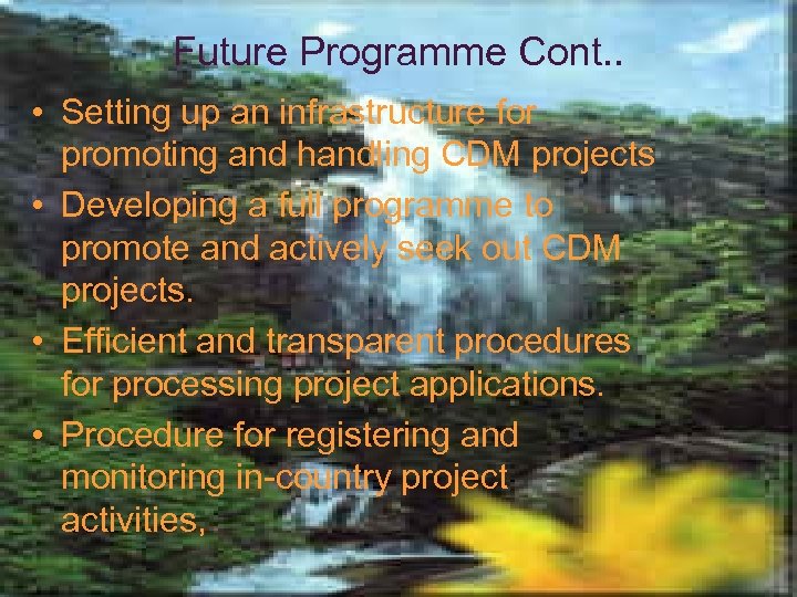 Future Programme Cont. . • Setting up an infrastructure for promoting and handling CDM