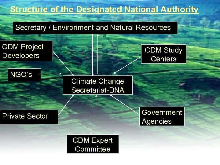 Structure of the Designated National Authority Secretary / Environment and Natural Resources CDM Project