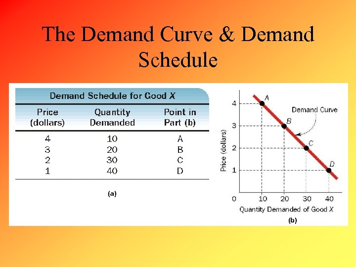 The Demand Curve & Demand Schedule (a) (b) 