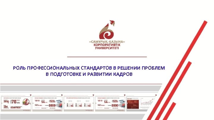 РОЛЬ ПРОФЕССИОНАЛЬНЫХ СТАНДАРТОВ В РЕШЕНИИ ПРОБЛЕМ В ПОДГОТОВКЕ И РАЗВИТИИ КАДРОВ 