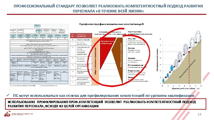 ПРОФЕССИОНАЛЬНЫЙ СТАНДАРТ ПОЗВОЛЯЕТ РЕАЛИЗОВАТЬ КОМПЕТЕНТНОСТНЫЙ ПОДХОД РАЗВИТИЯ ПЕРСОНАЛА «В ТЕЧЕНИЕ ВСЕЙ ЖИЗНИ» ü ПС