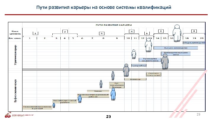 Пути развития карьеры на основе системы квалификаций 23 23 