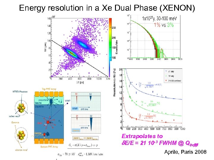 Energy resolution in a Xe Dual Phase (XENON) Extrapolates to d. E/E = 21