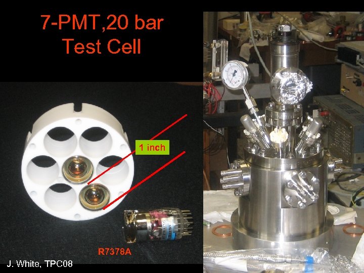 7 -PMT, 20 bar Test Cell 1 inch R 7378 A J. White, TPC