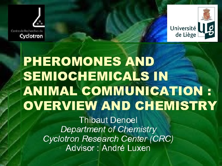 PHEROMONES AND SEMIOCHEMICALS IN ANIMAL COMMUNICATION : OVERVIEW AND CHEMISTRY Thibaut Denoel Department of