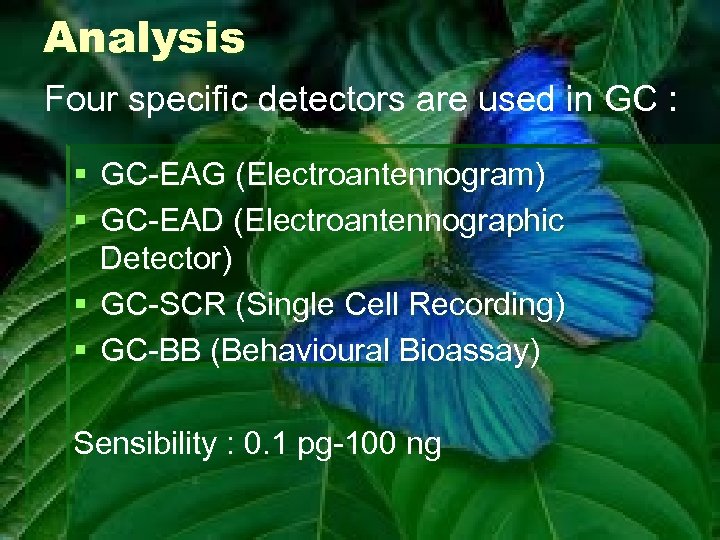 Analysis Four specific detectors are used in GC : § GC-EAG (Electroantennogram) § GC-EAD