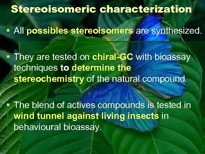 Stereoisomeric characterization § All possibles stereoisomers are synthesized. § They are tested on chiral-GC