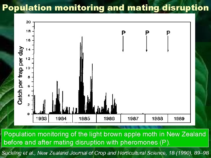 Population monitoring and mating disruption Population monitoring of the light brown apple moth in