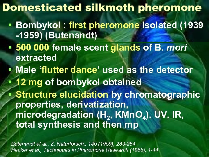 Domesticated silkmoth pheromone § Bombykol : first pheromone isolated (1939 -1959) (Butenandt) § 500