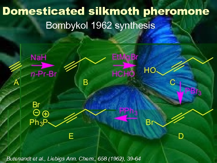 Domesticated silkmoth pheromone Bombykol 1962 synthesis Butenandt et al. , Liebigs Ann. Chem. ,