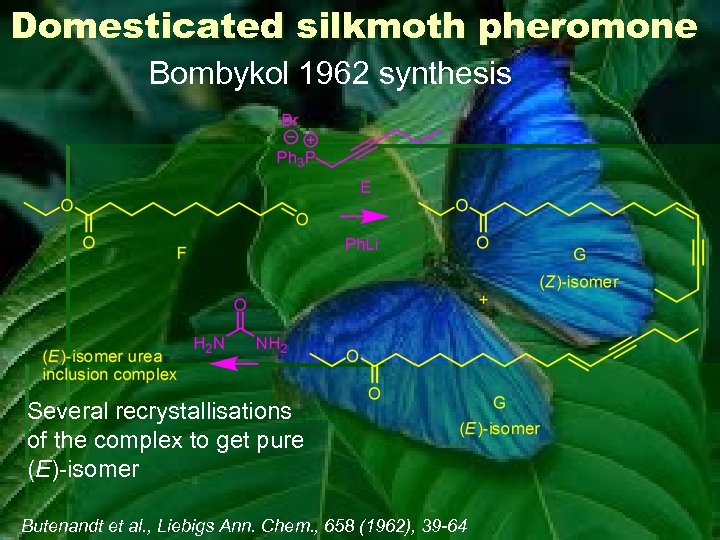 Domesticated silkmoth pheromone Bombykol 1962 synthesis Several recrystallisations of the complex to get pure