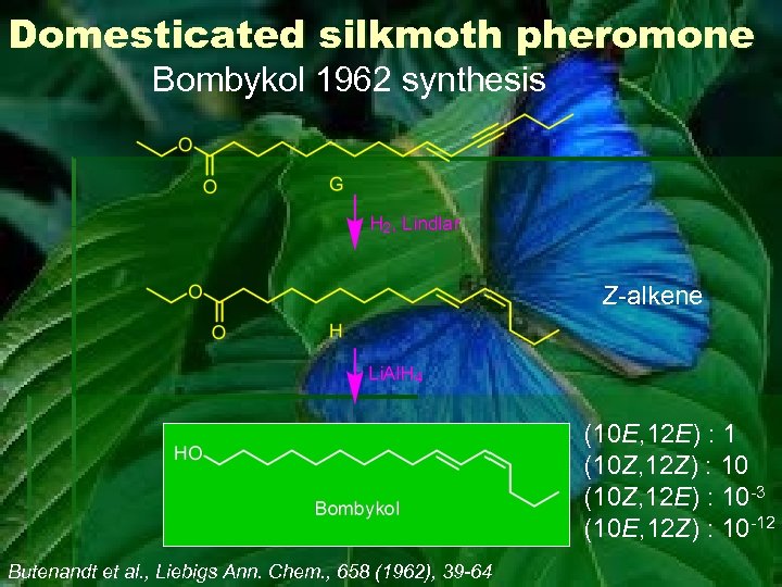 Domesticated silkmoth pheromone Bombykol 1962 synthesis Z-alkene (10 E, 12 E) : 1 (10