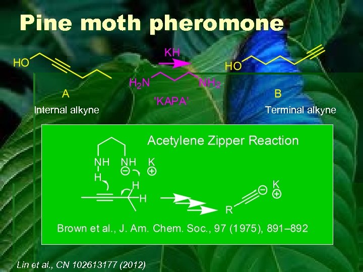 Pine moth pheromone Internal alkyne Lin et al. , CN 102613177 (2012) Terminal alkyne
