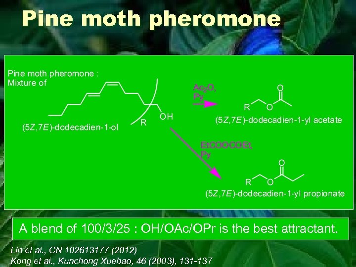 Pine moth pheromone A blend of 100/3/25 : OH/OAc/OPr is the best attractant. Lin