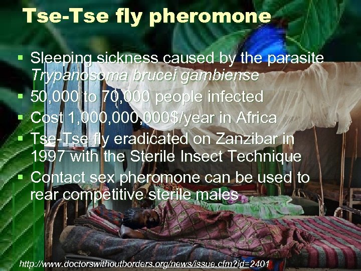 Tse-Tse fly pheromone § Sleeping sickness caused by the parasite Trypanosoma brucei gambiense §