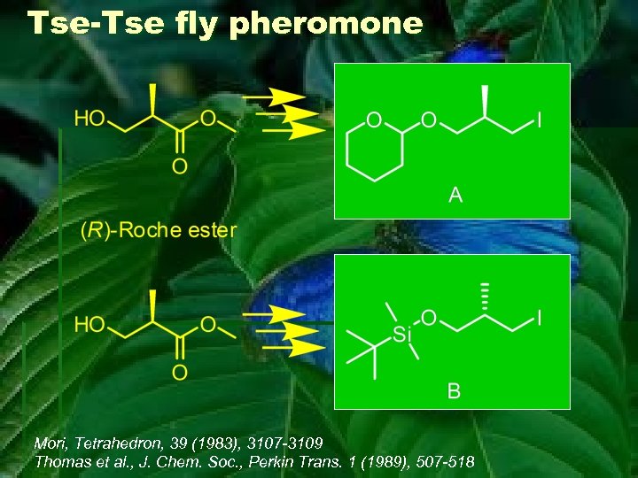Tse-Tse fly pheromone Mori, Tetrahedron, 39 (1983), 3107 -3109 Thomas et al. , J.