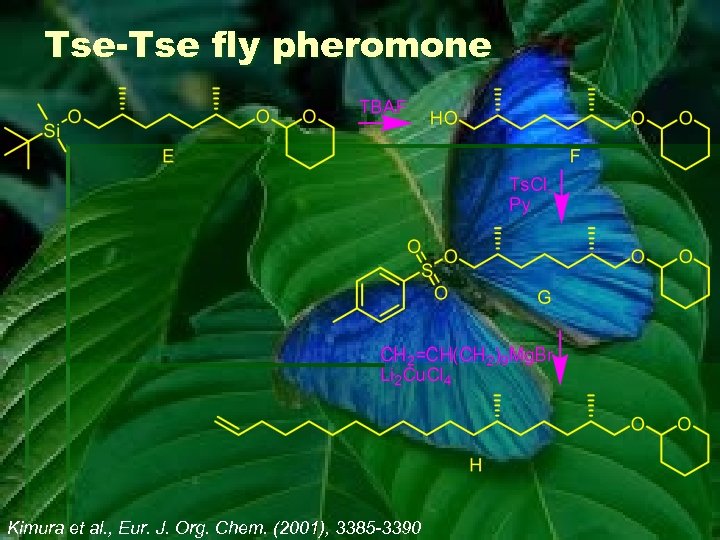 Tse-Tse fly pheromone Kimura et al. , Eur. J. Org. Chem. (2001), 3385 -3390