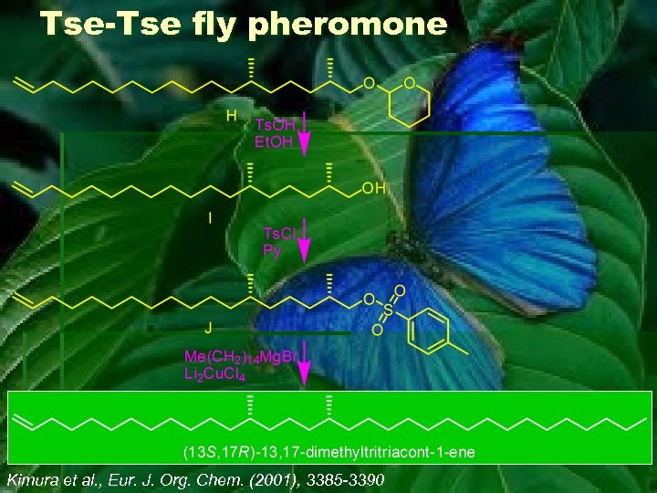 Tse-Tse fly pheromone Kimura et al. , Eur. J. Org. Chem. (2001), 3385 -3390