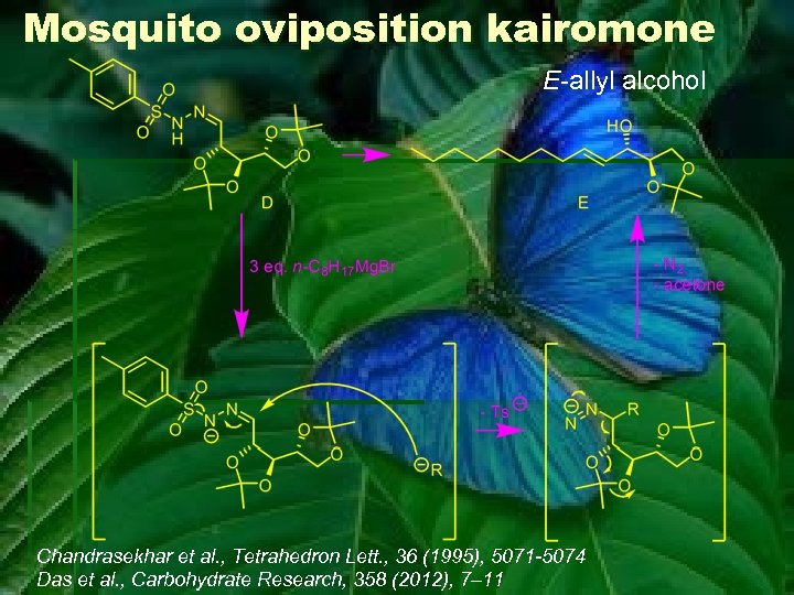 Mosquito oviposition kairomone E-allyl alcohol Chandrasekhar et al. , Tetrahedron Lett. , 36 (1995),